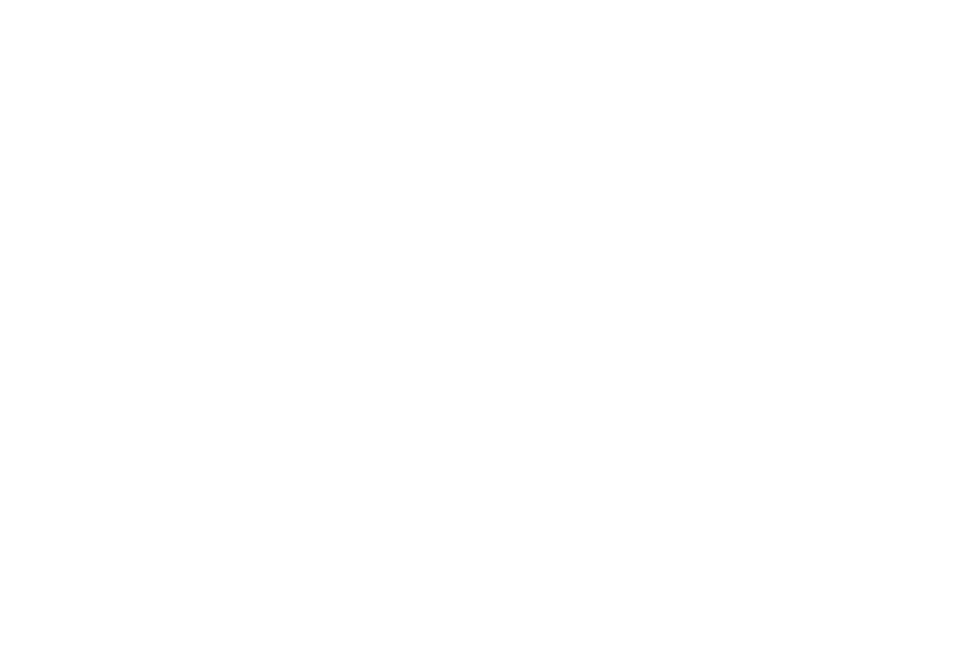 Raça Livre Produções